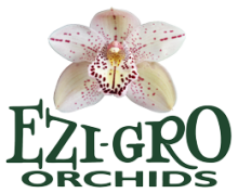 Ezi-Gro Orchids