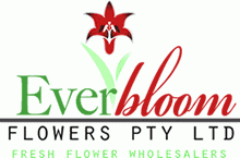 Everbloom Flowers