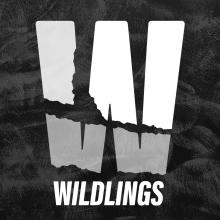 Wildlings Creative Agency