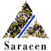 Saracen Mineral Holdings